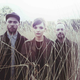 Image for article titled Chvrches make a poisonous declaration of love